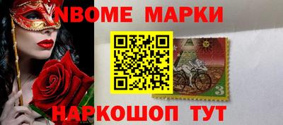стафф Кингисепп