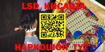 стафф Кингисепп
