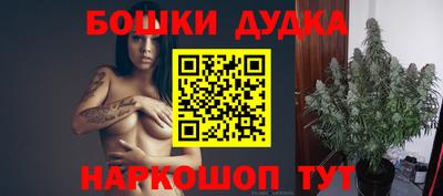 стафф Кингисепп
