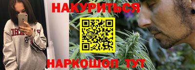 стафф Кингисепп