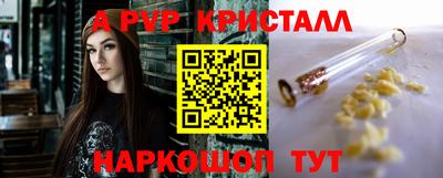 стафф Кингисепп