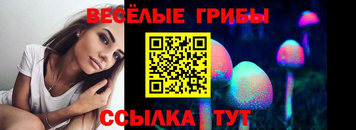 Псилоцибиновые грибы мухоморы Симферополь